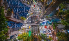 أكبر شجرة عيد ميلاد إستوائية مضاءة في دولة الإمارات